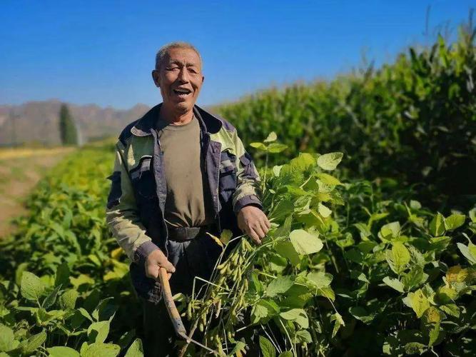 2021年10月10日,农业农村部种植业司在河北省石家庄市藁城区召开全国